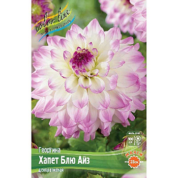 Георгина Хапет Блю Айз I 15 шт Шоу-бокс 8907