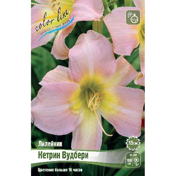 Лилейник Кетрин Вудбери I 25 шт Биг-пак 4079 