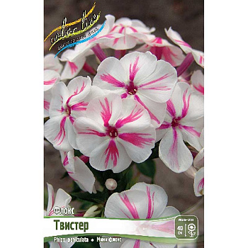 Флокс Твистер I 1 шт