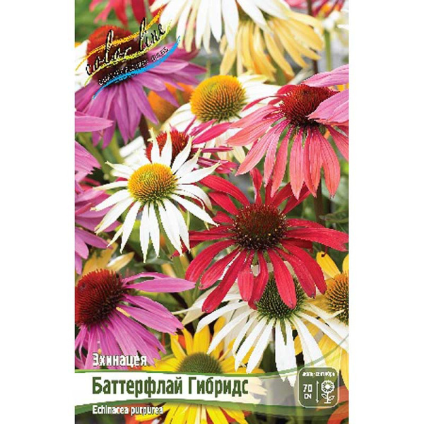 13471 Биг-Пак Эхинацея Баттерфлай Гибридс I 25 шт 