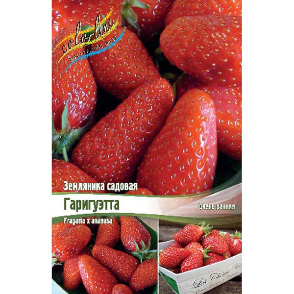 8216 Биг-Пак Земляника Садовая Гаригуэтта A 100 шт 