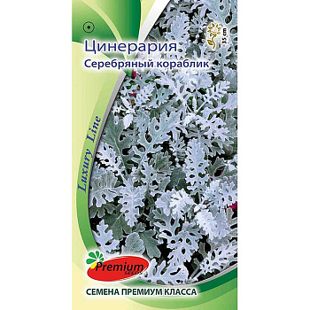 Цинерария Серебряный кораблик Премиум Сидс Ц 