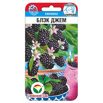 Ежевика Блэк Джем СибСад Ц