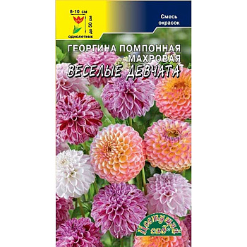 Георгин Веселые девчата смесь ЦветСад Ц 