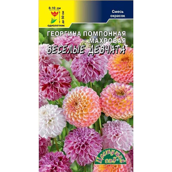 Георгин Веселые девчата смесь ЦветСад Ц 