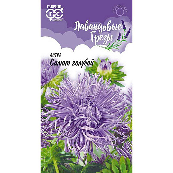 Астра Салют голубой Гавриш Ц 