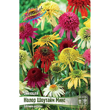 Эхинацея Колор Шоутайм Микс I 25 шт Биг-Пак 571 