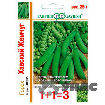Горох Хавский жемчуг 1+1 Гавриш Ц