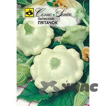 Патиссон Пятачок Семко Ц