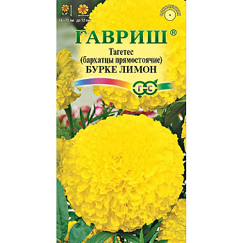 Бархатцы Бурке лимон Гавриш Ц 