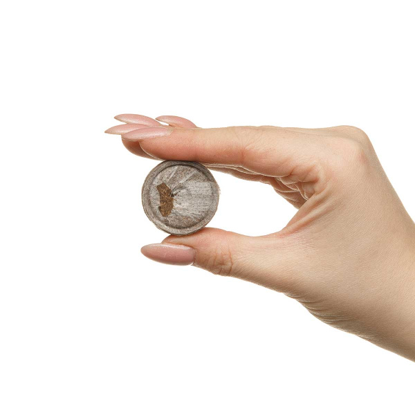 Торфоперегнойные таблетки Turbo (33мм)Цена за КОРОБКУ х720шт. 