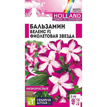Бальзамин Беленс Фиолетовая звезда СемАлт Ц 
