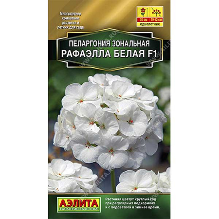 КОМ Пеларгония Рафаэлла белая Аэлита Ц 
