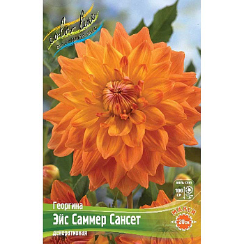 Георгина Эйс Саммер Сансет I 15 шт Шоу-бокс 8887