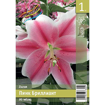 Лилия Пинк Бриллиант 12/14 1 Эконом шт 