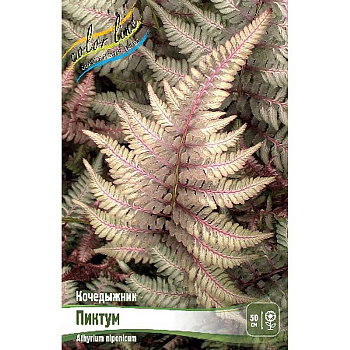 Кочедыжник Пиктум I 25 шт Биг-Пак 704