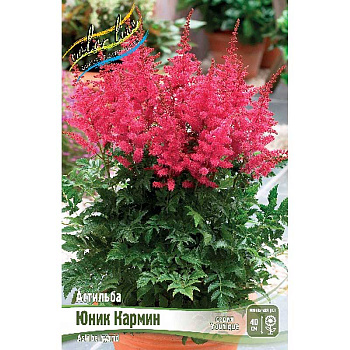 Астильба Юник Кармин 2/3 n 25 шт Биг-пак 1674