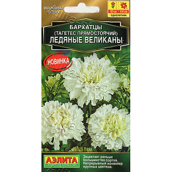 Бархатцы Ледяные великаны Аэлита Ц 