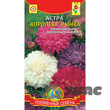 Астра Королева рынка смесь Плазма Ц 