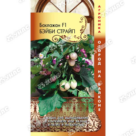 Баклажан Бэйби Страйп F1 Плазма Ц