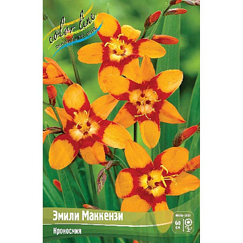 Крокосмия Эмили Маккензи 6/+ 8 шт 