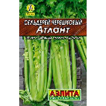 Сельдерей черешковый Атлант "Лидер" Аэлита Ц x10