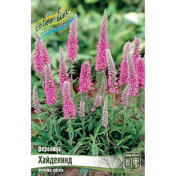 Вероника Хайдекинд I 1 шт