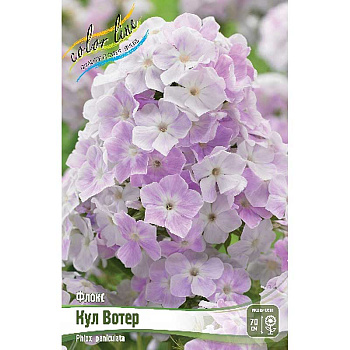 8059 Биг-Пак Флокс Кул Вотер I 25 шт