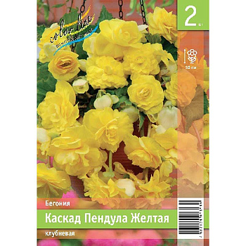 Бегония Каскад Пендула Желтая 4/5 2 Эконом шт