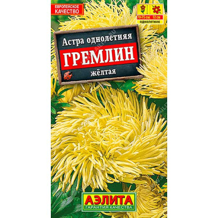 Астра Гремлин желтая Аэлита Ц 