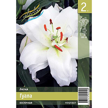 Лилия Гуапа 12/14 2 Эконом шт 