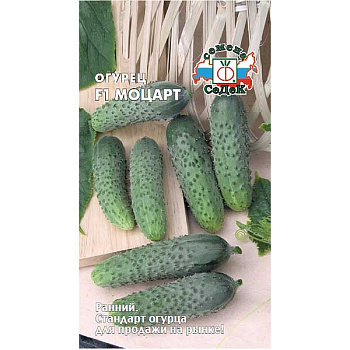 Огурец Моцарт Седек Ц