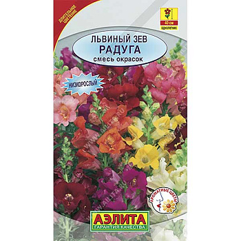Львиный зев Радуга низкорослый Аэлита Ц 