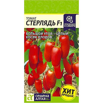Семена Томат Стерлядь F1 Семена Алтая