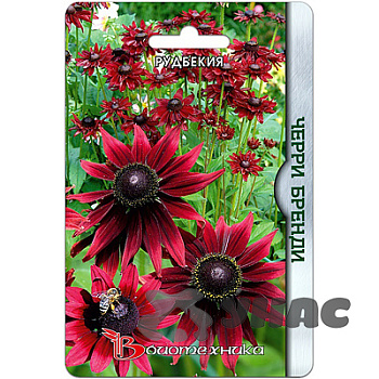 Рудбекия Черри Бренди Биотехника Ц 