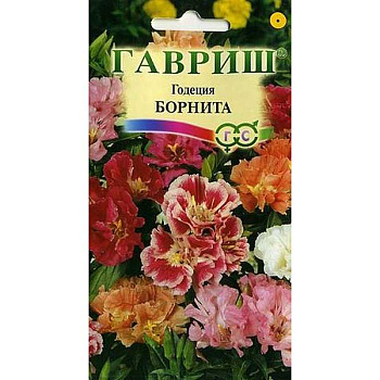 Годеция Борнита Гавриш Ц 