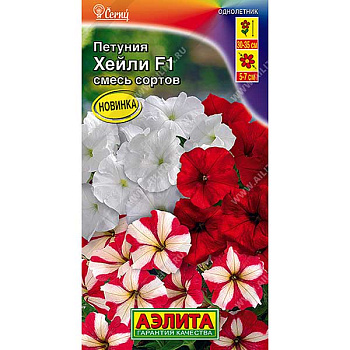 Петуния Хейли Аэлита Ц 