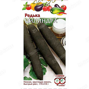 Редька Цилиндра Гавриш Ц