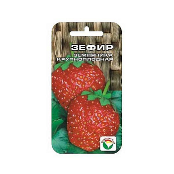 Клубника Зефир СибСад Ц