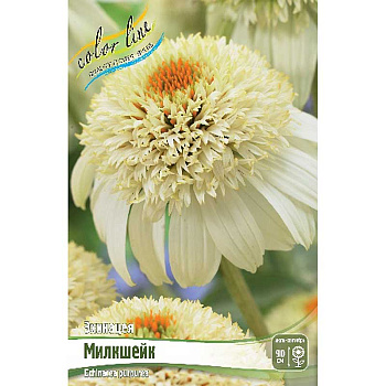Эхинацея Милкшейк I 1 шт 
