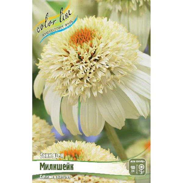 Эхинацея Милкшейк I 1 шт 