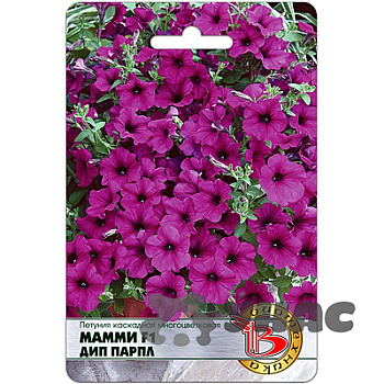 Петуния Мамми Дип Парпл Биотехника Цх10 