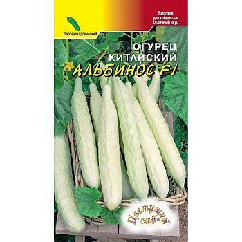 Огурец Китайский Альбинос ЦветСад Ц