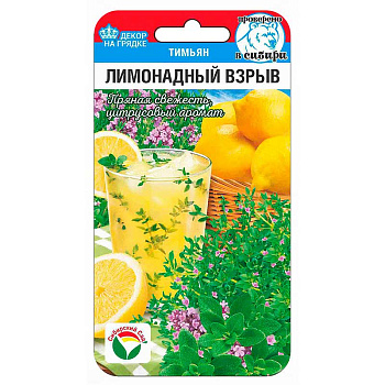 Тимьян Лимонадный взрыв СибСад Ц