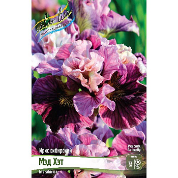 Ирис Сибирский Мэд Хэт I 25 шт Биг-пак 8634