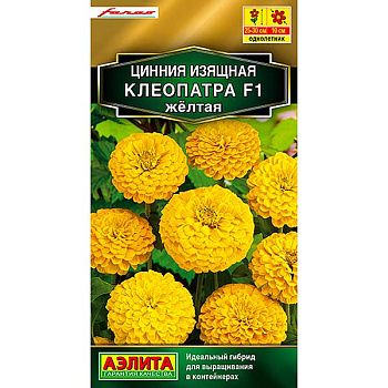 Циния Клеопатра желтая Аэлита Ц 