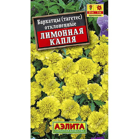Бархатцы Лимонная капля Аэлита Ц 