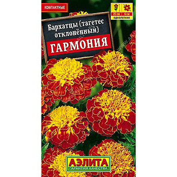 Бархатцы Гармония отклоненные Аэлита Ц 