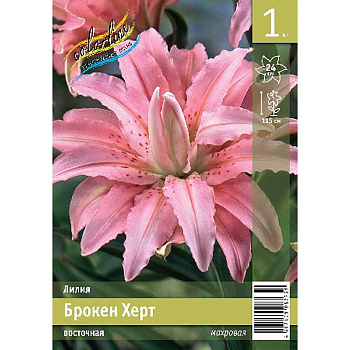 Лилия Брокен Херт 12/14 1 Эконом шт 