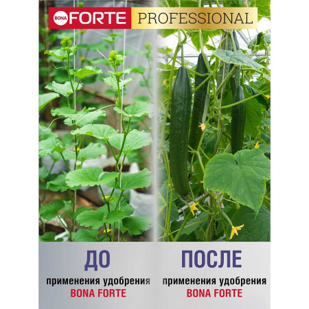 Бона Форте 500 гр для огурцов и кабачков х12 